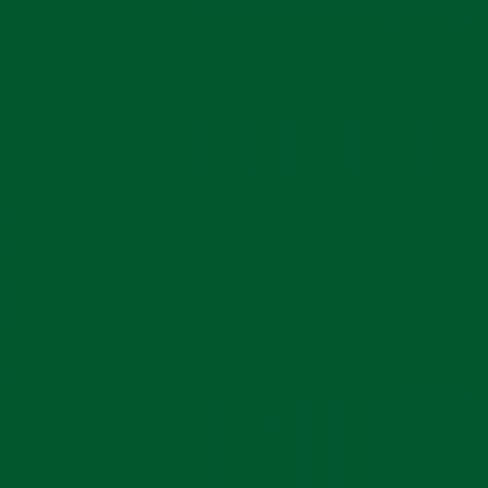 C120-FOREST.jpg