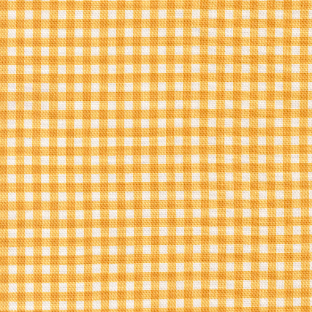 55707 14.jpg