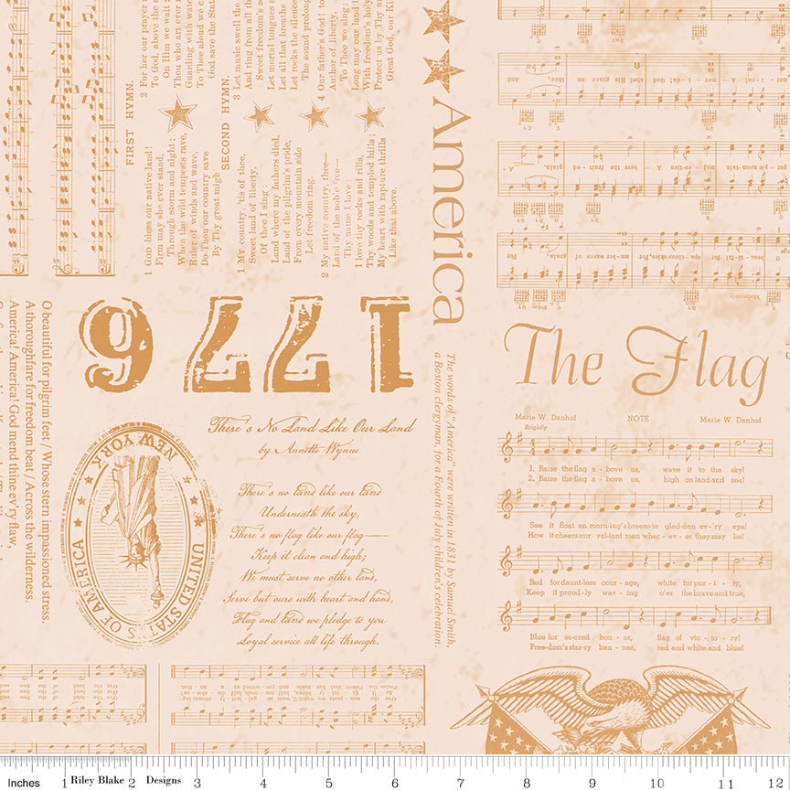 C16080-CIDER-72dpi-wruler.jpg