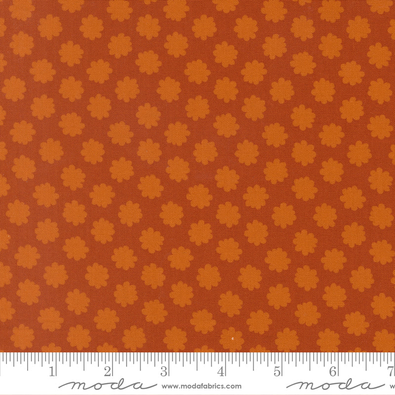 51276-22.jpg