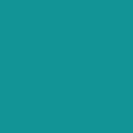 72dpi-CS-10-TEAL__94705.jpg