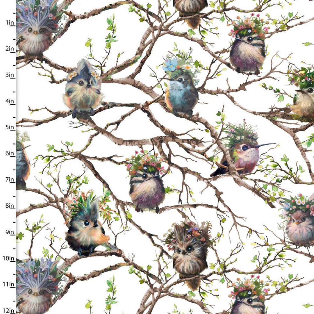 Out on a Limb Birdsong in Bloom