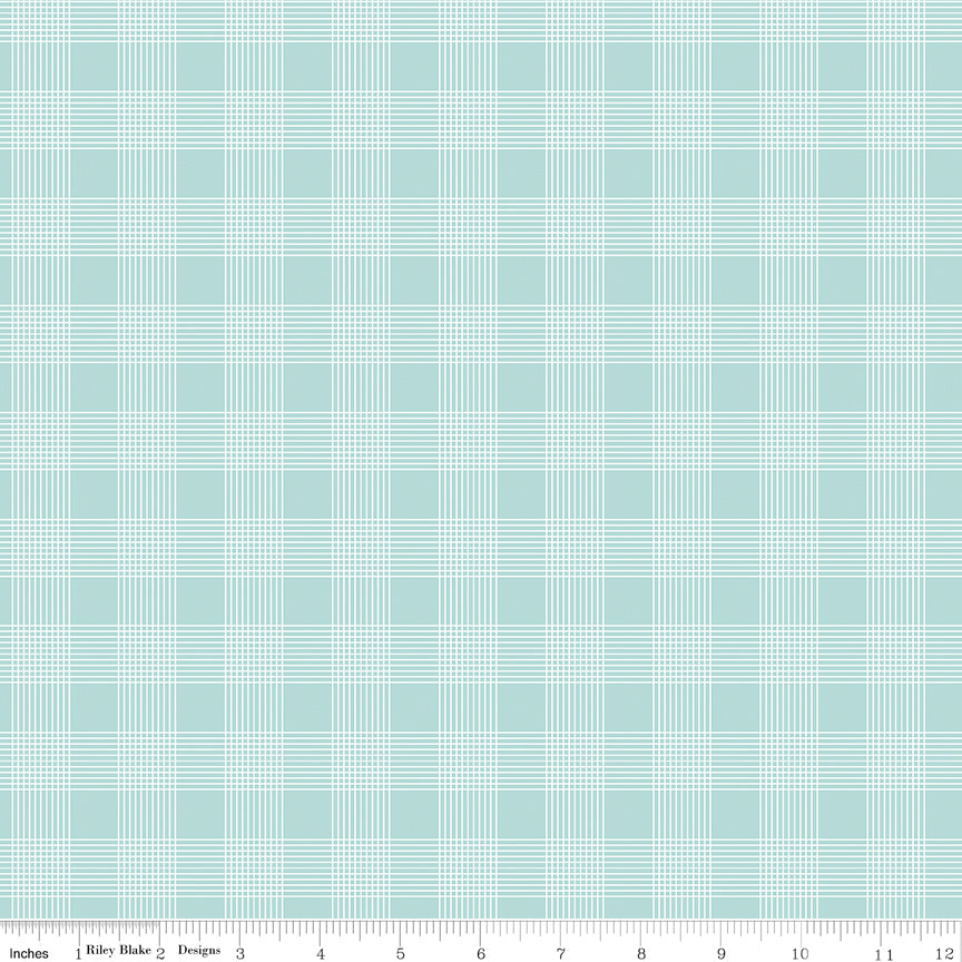 C15262-AQUA-72dpi-wruler.jpg
