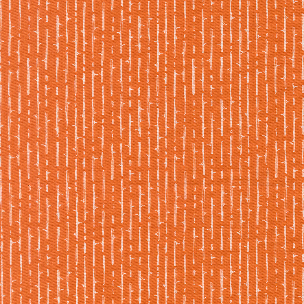 48806 13.jpg