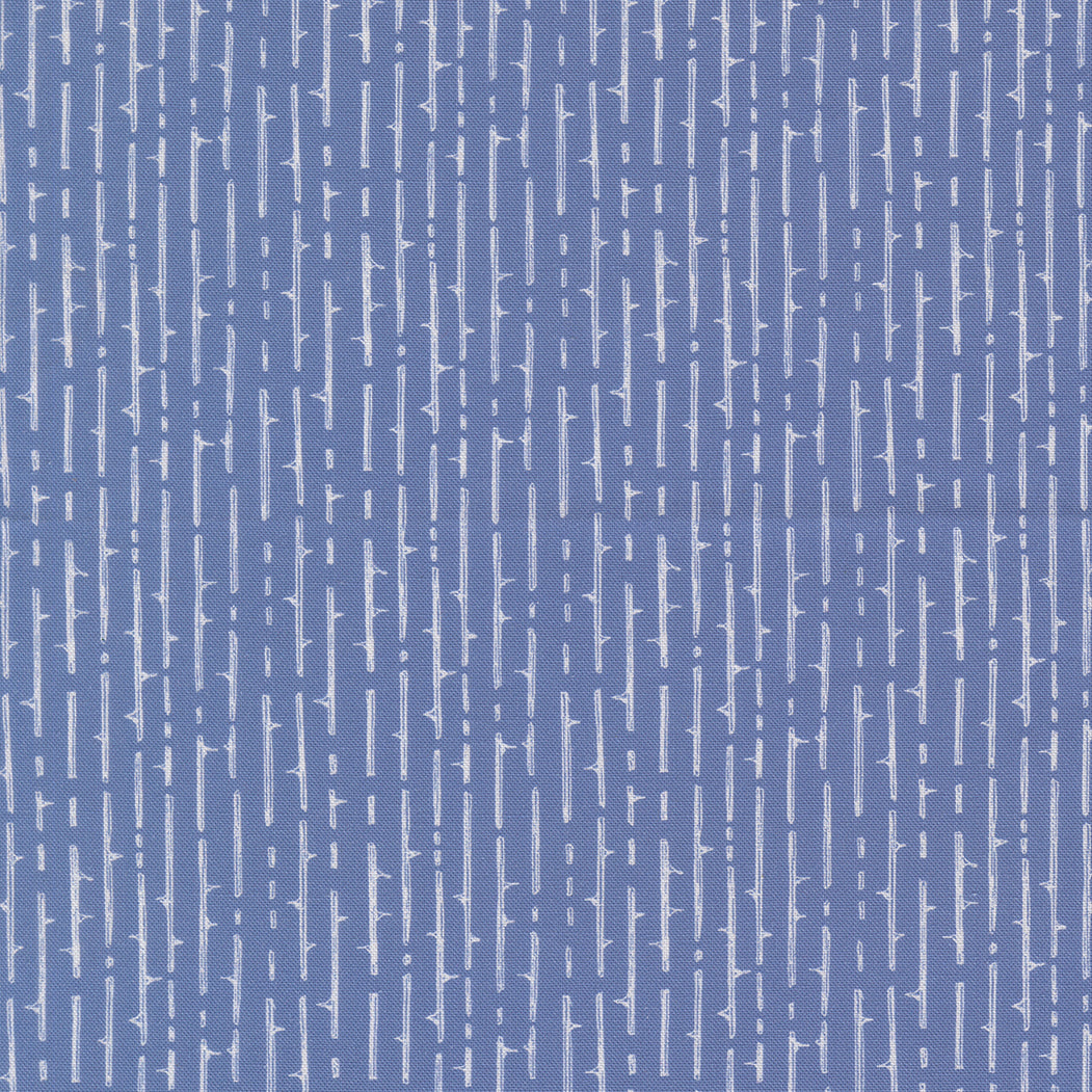 48806 14.jpg