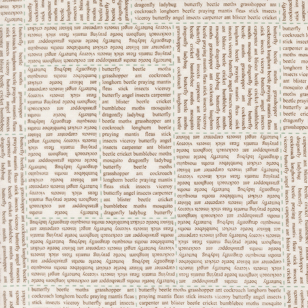 Bug Collector In the News Cloud Dirt