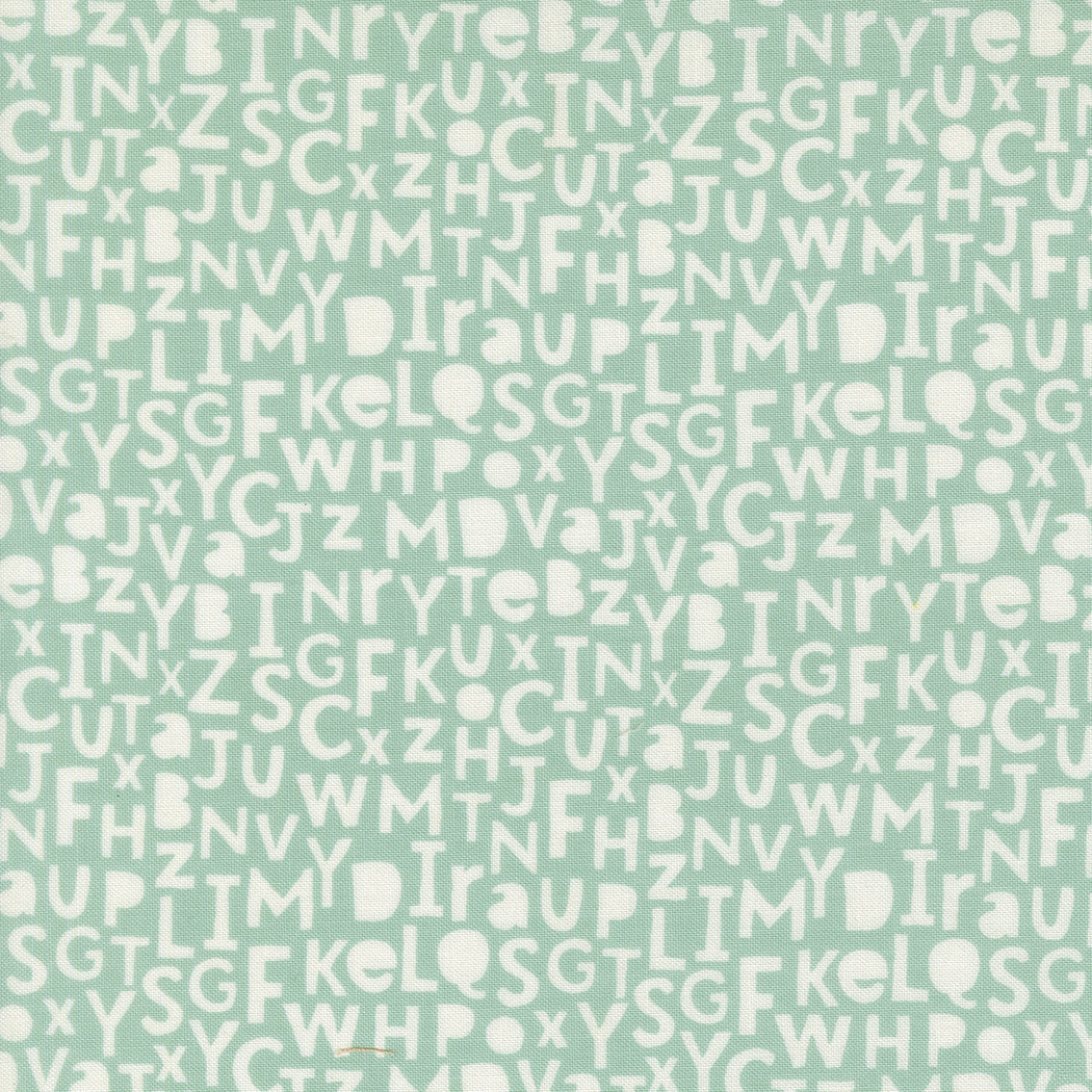 Bug Collector Alphabet Sky