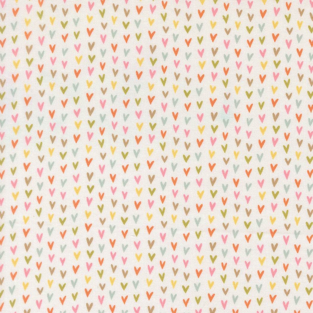 Bug Collector Heart Stripe Cloud