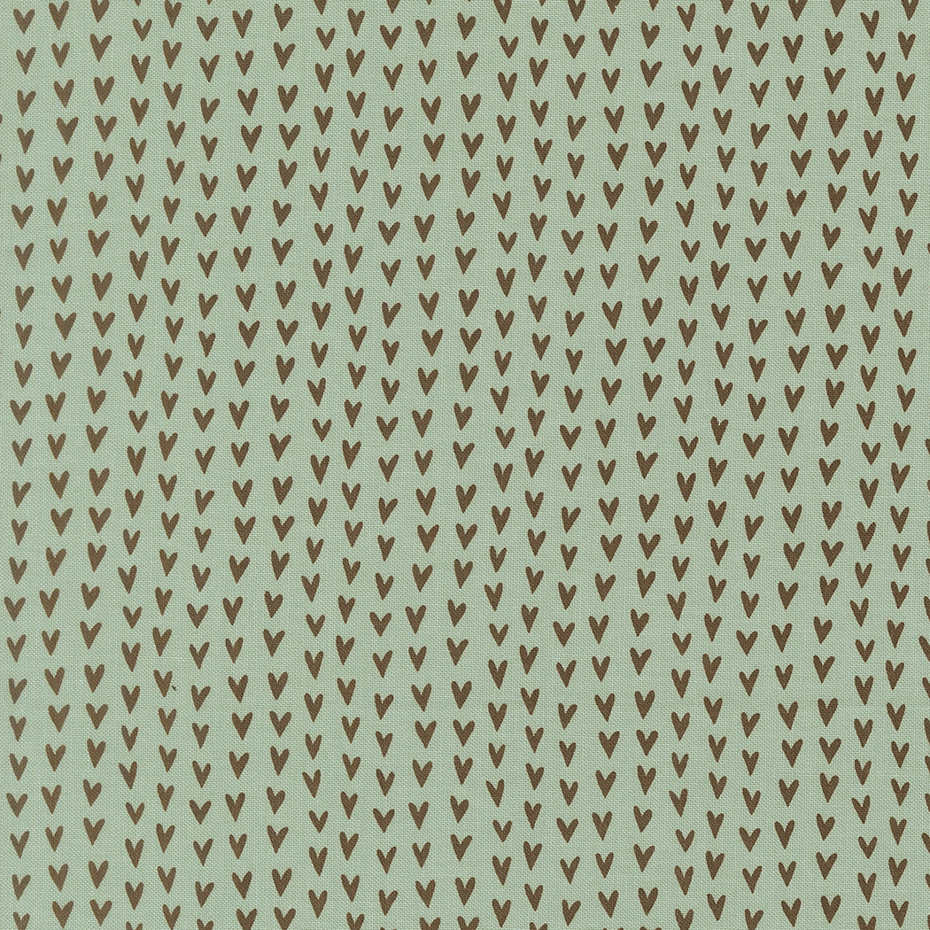 Bug Collector Heart Stripe Sky