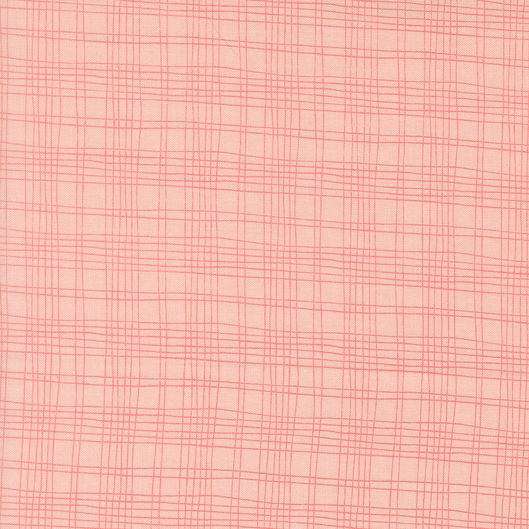 Bug Collector Plaid Blush