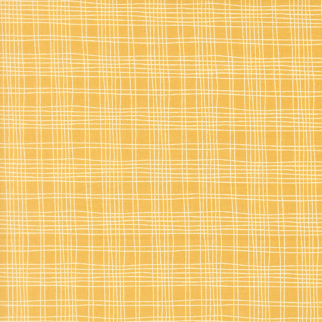 Bug Collector Plaid Sunshine
