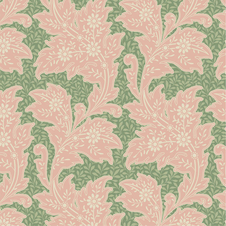 110154-stella-sage_54957509475_o.jpg