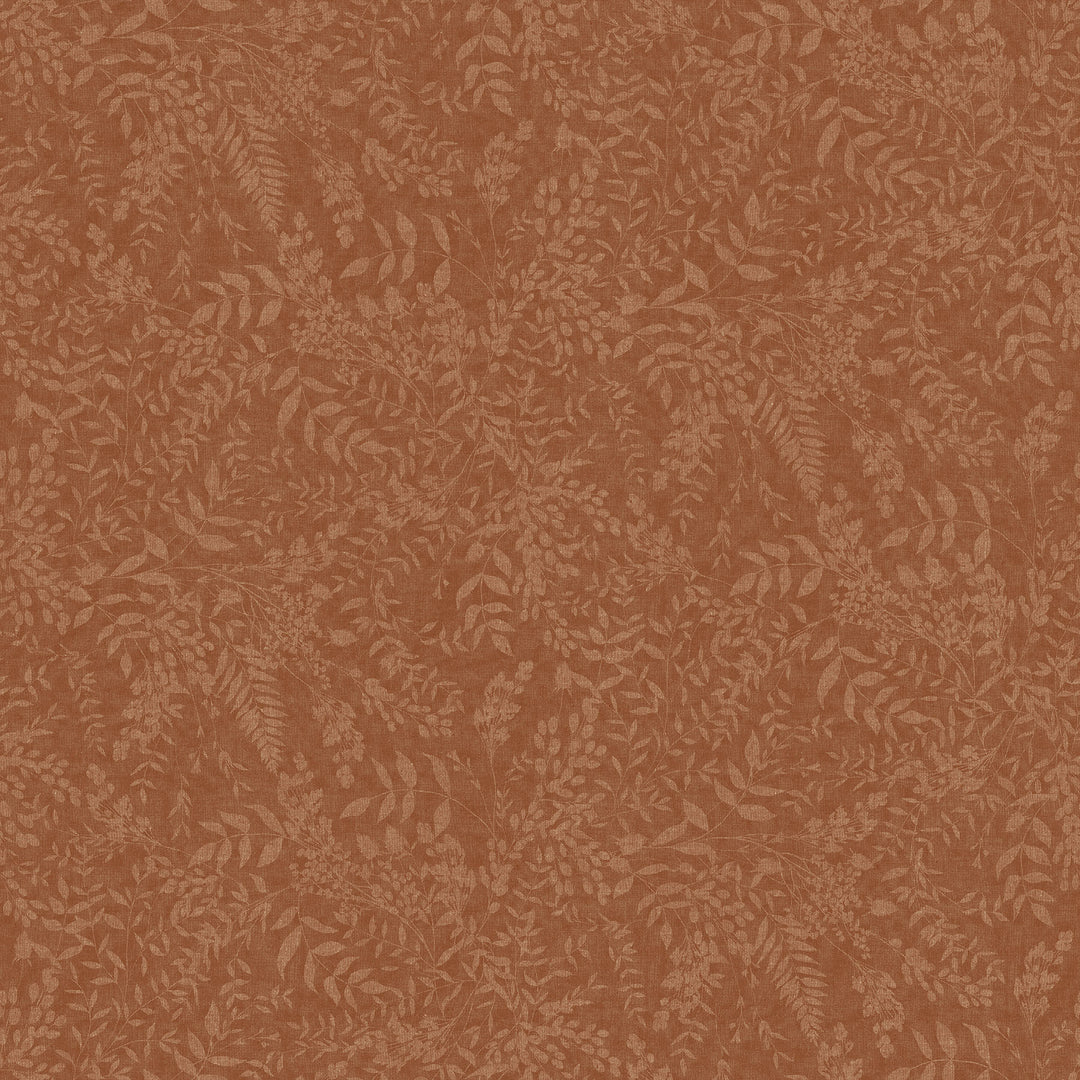 27861-37.jpg