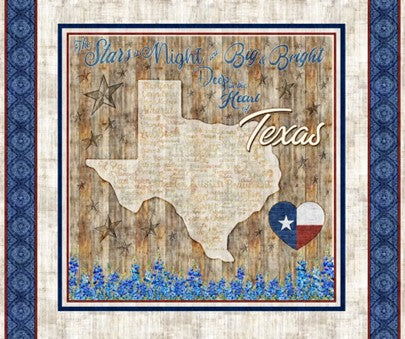 Texas Map Panel.jpg