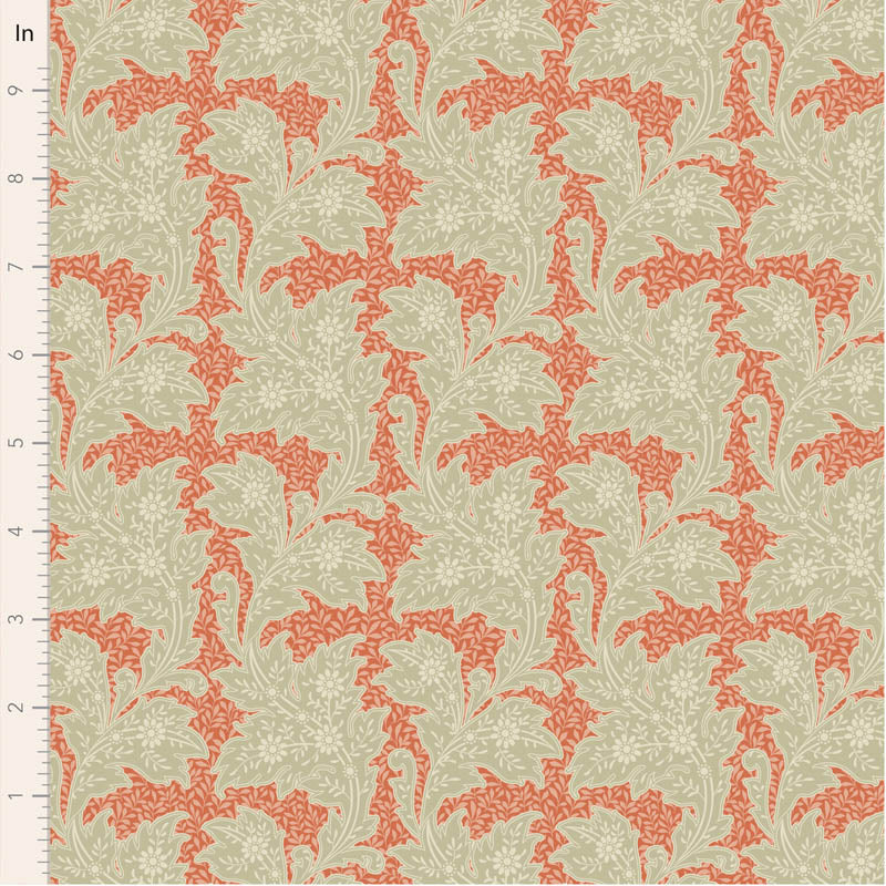 110151-stella-coral-10in_54975879270_o.jpg