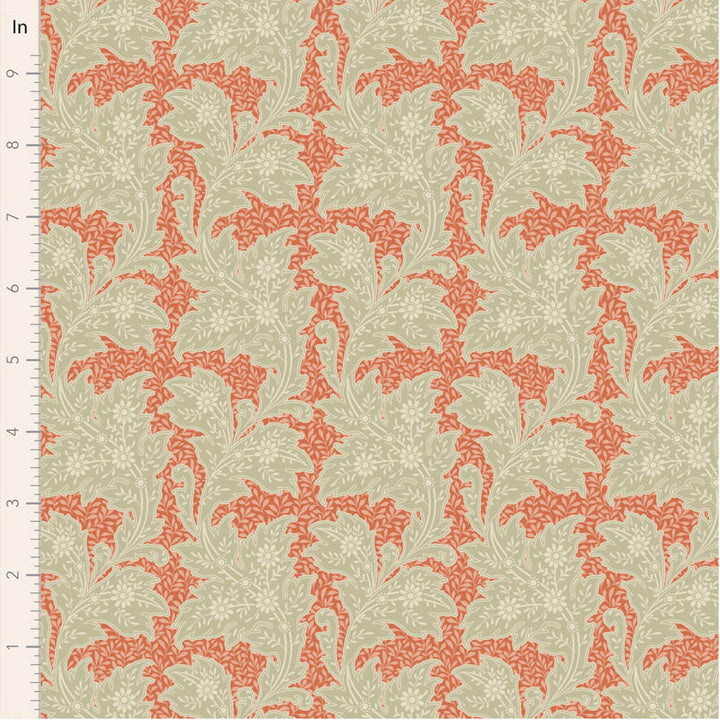 110151-stella-coral-10in_54975879270_o.jpg