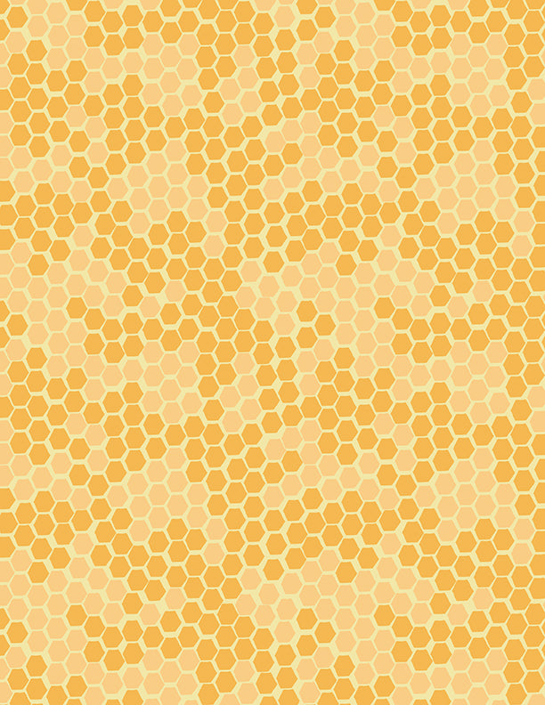 003023039840___555-3023-39840-555.jpg