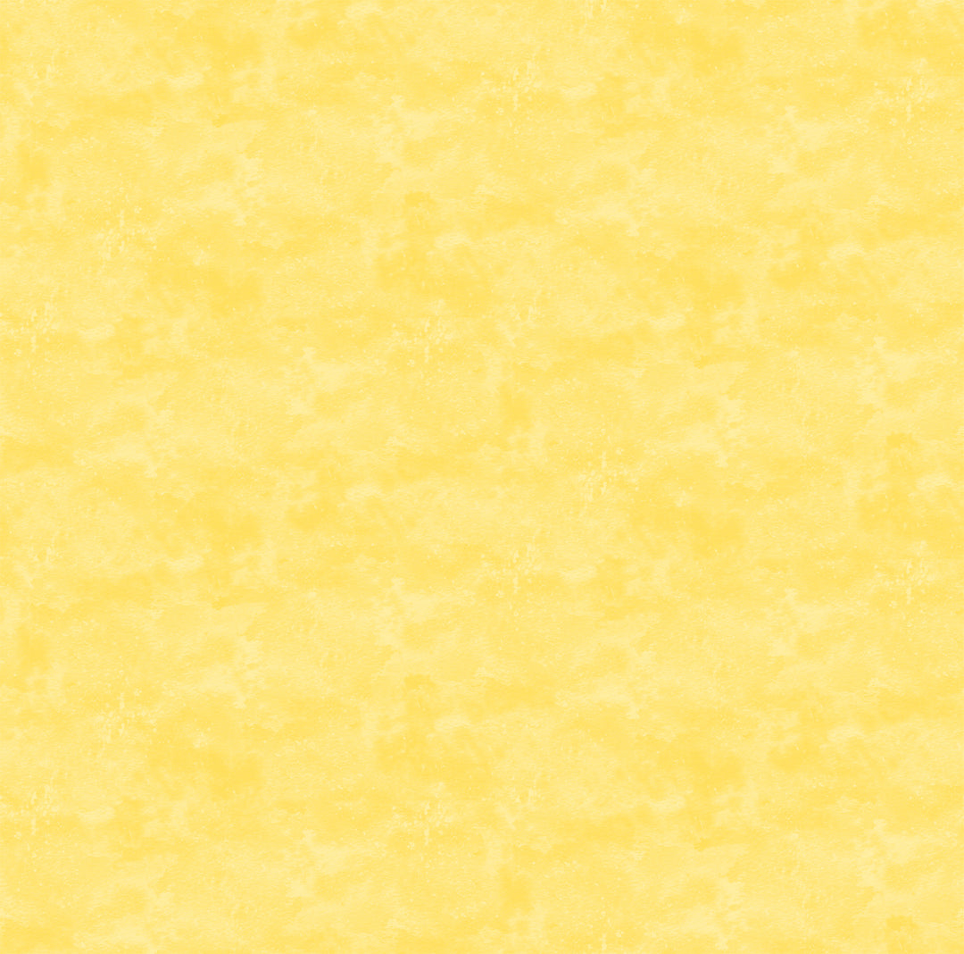 9020-530.jpg