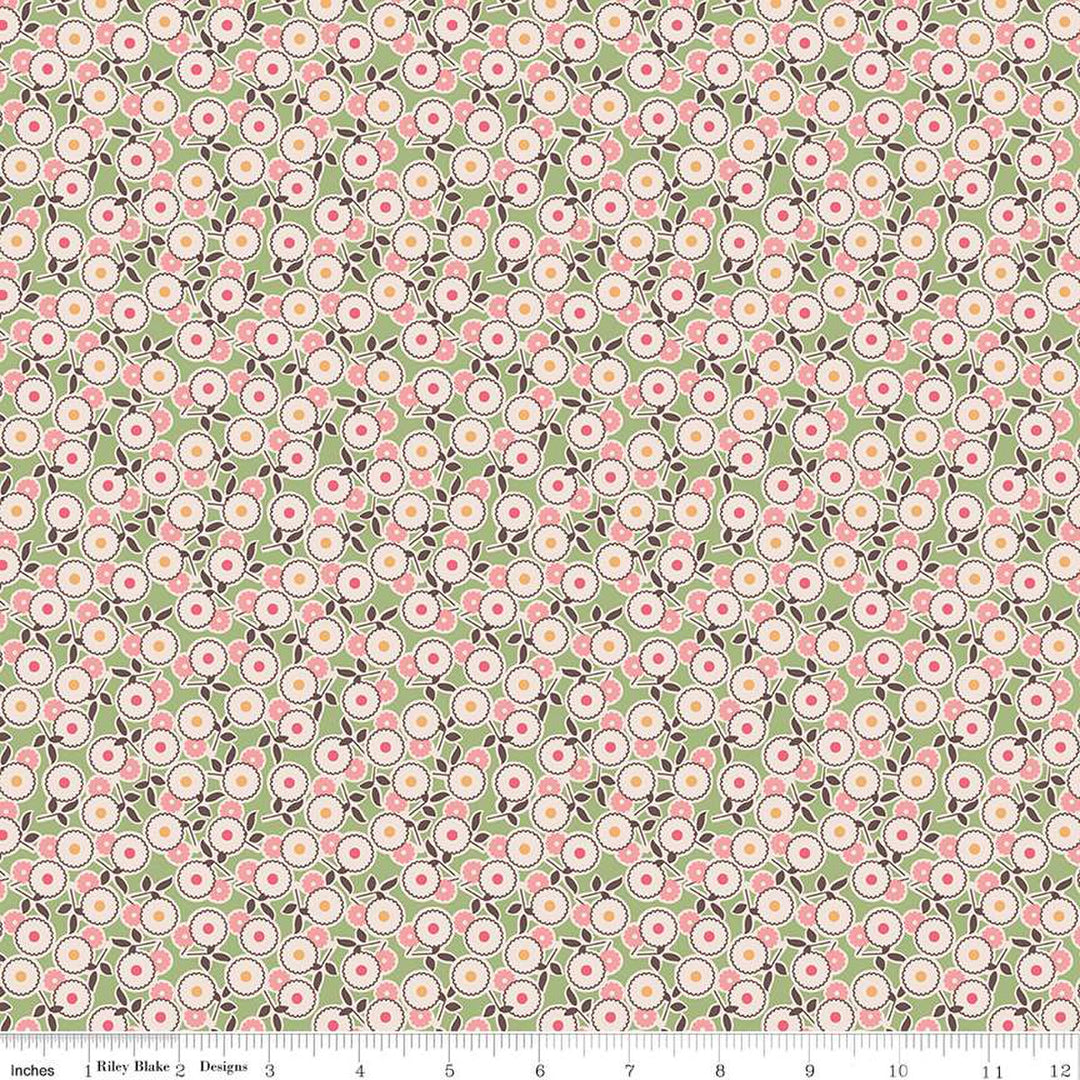 C14384-LETTUCE_media-1.jpg
