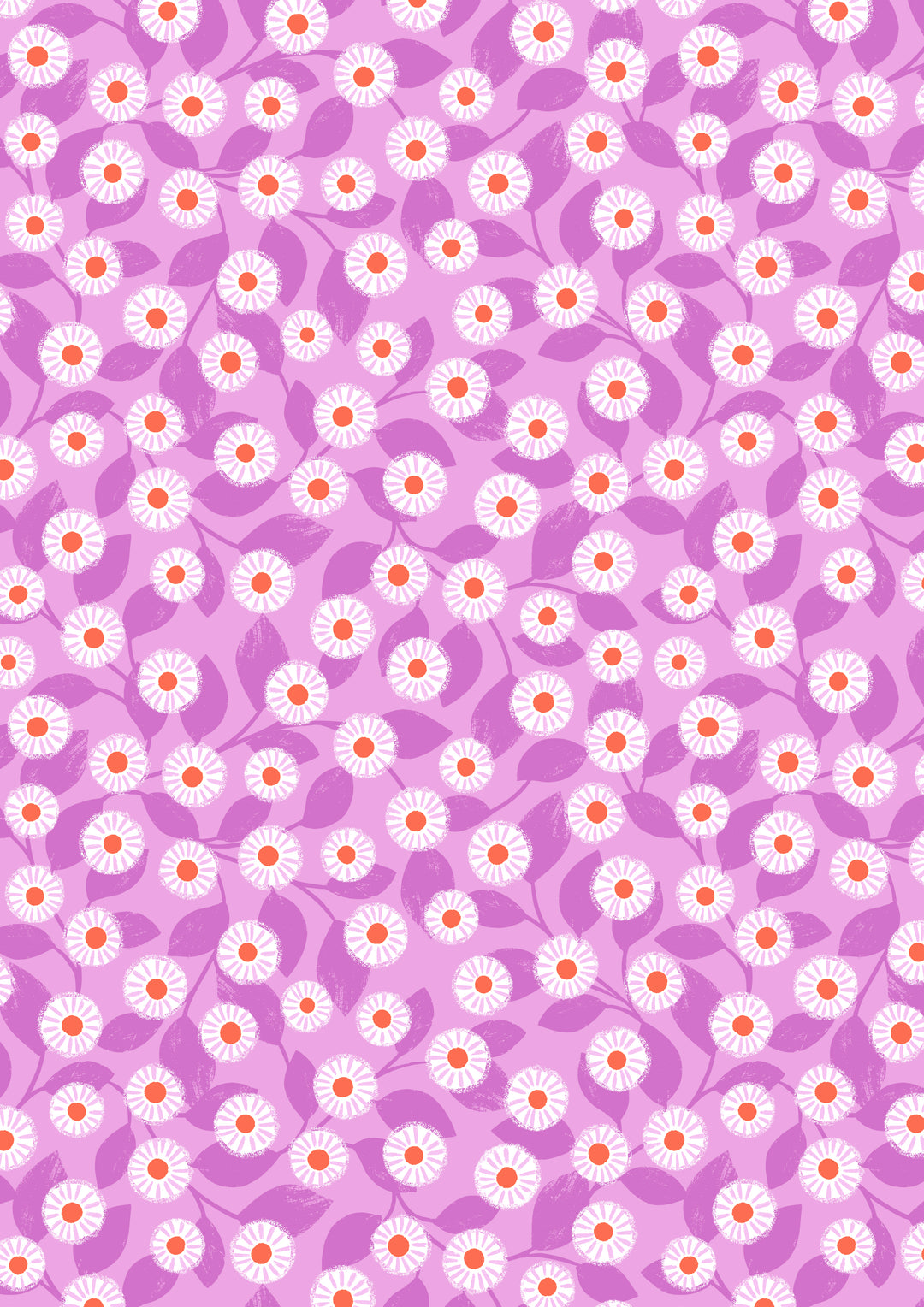 Creative Landscapes Wild Daisy on Pink Purple