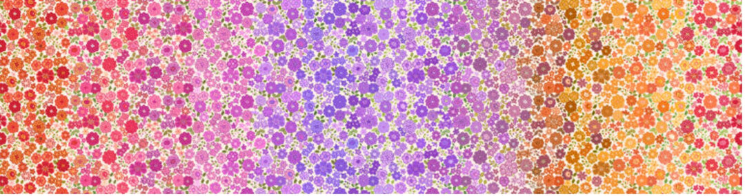 Boho Blooms Berry Ombre