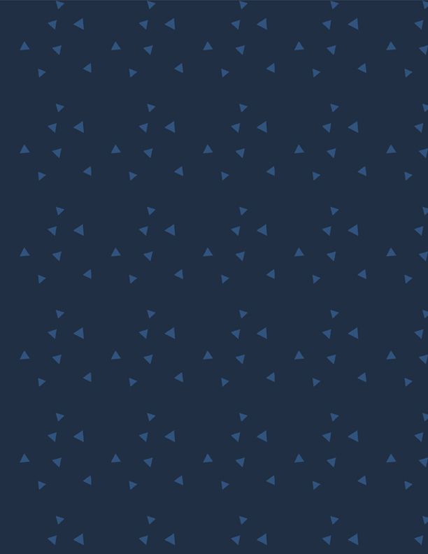 Tossed Triangles Navy on Navy