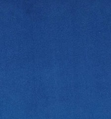 electric blue.jpg
