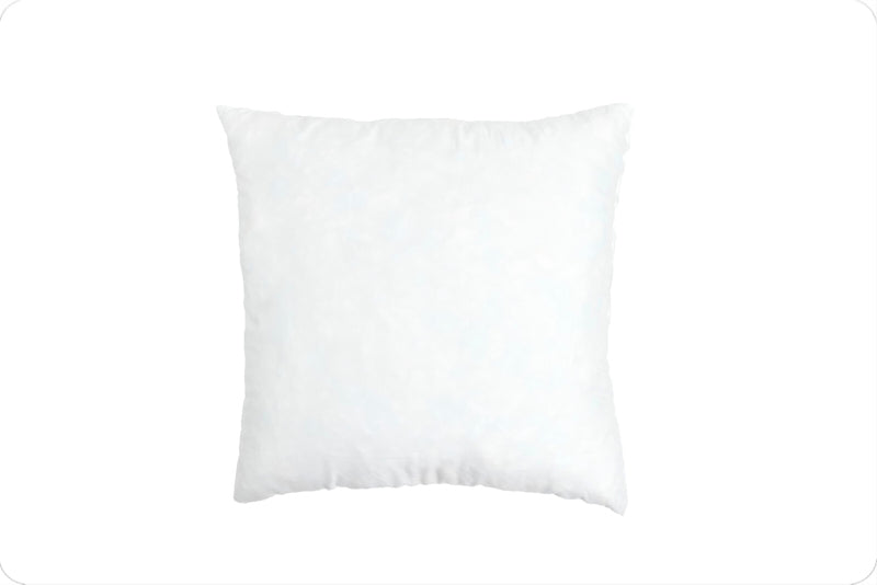 18 x 18 pillow.jpg