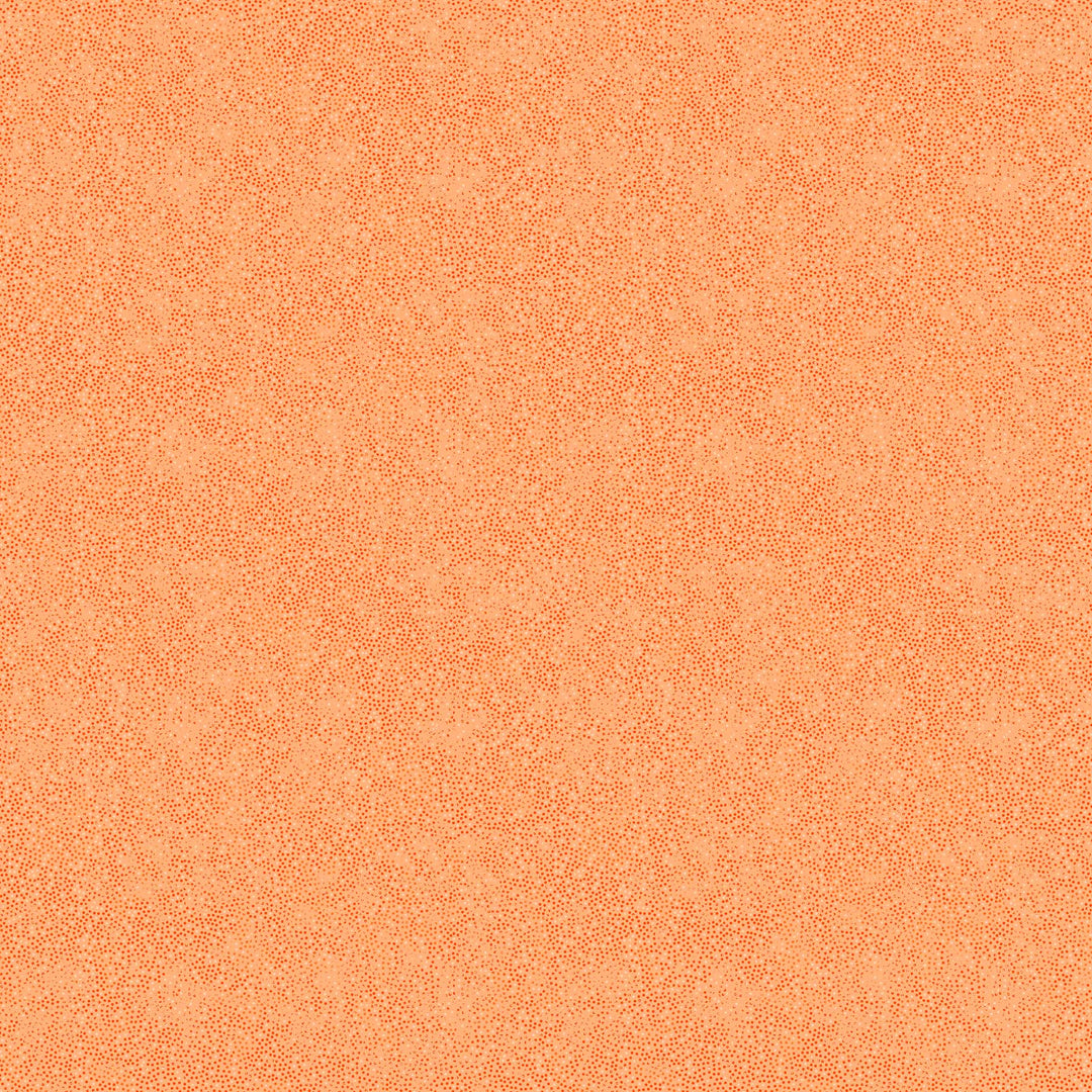 10451-57.jpg