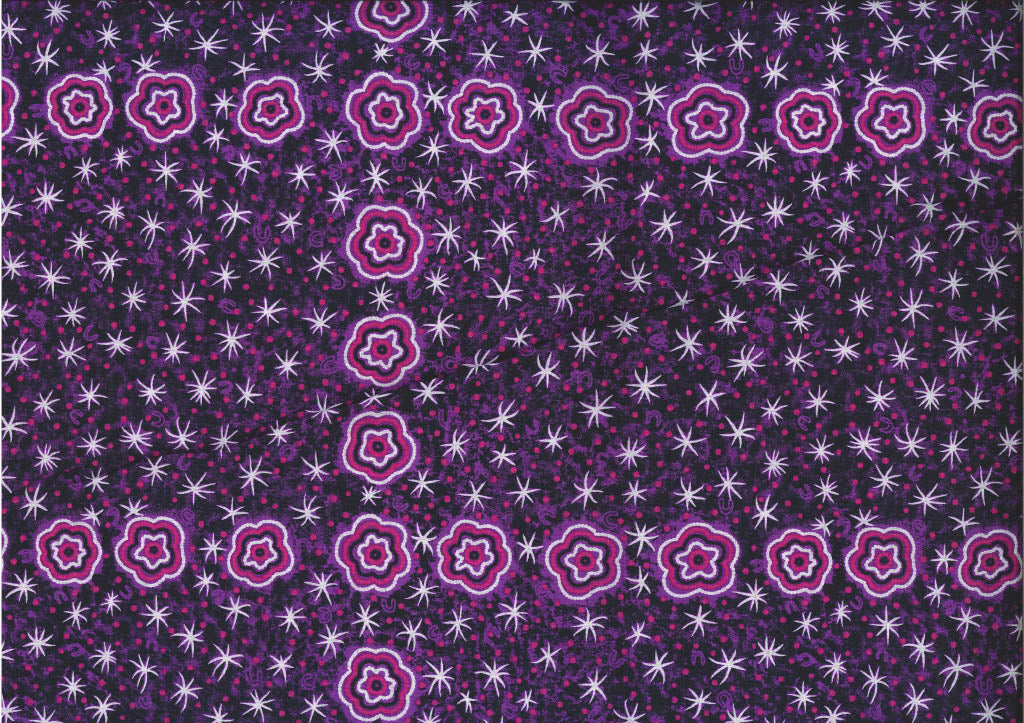 women watching stars purple.jpg