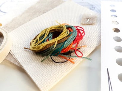 Bibliophilia Embroidery Kit