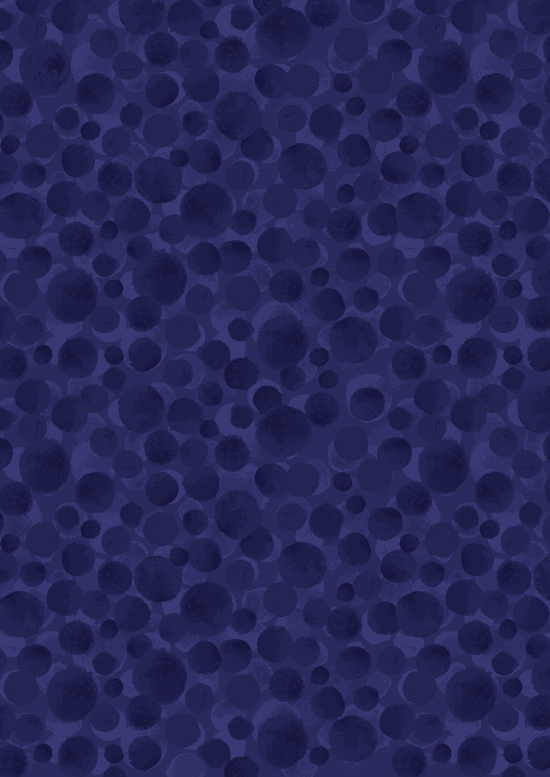 BB028.jpg