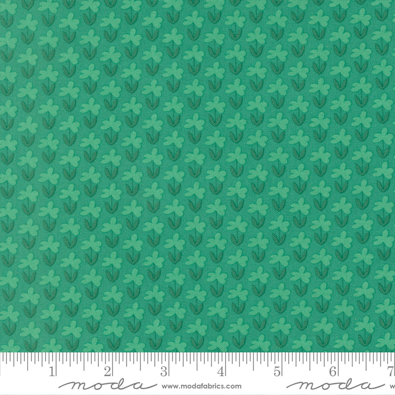 51271-16.jpg