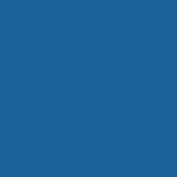 T4878-301-Bluebird.jpg
