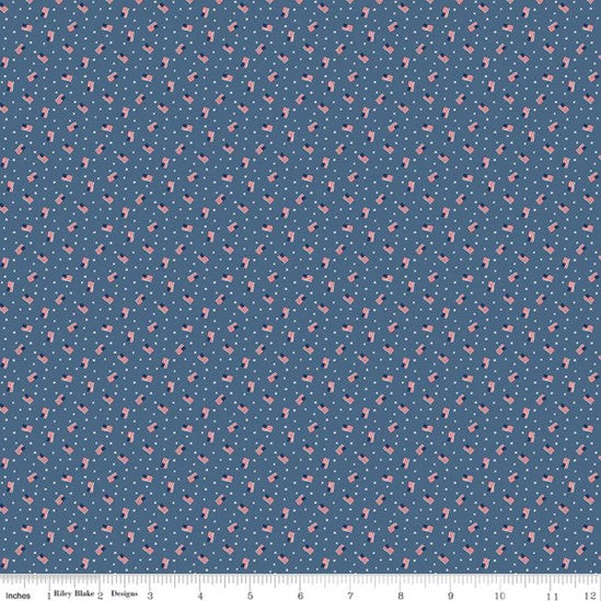 C767DENIM.jpg