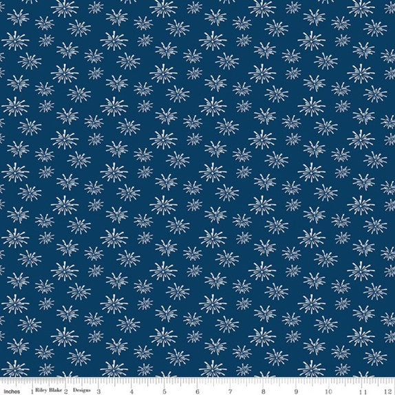 C768DENIM.jpg