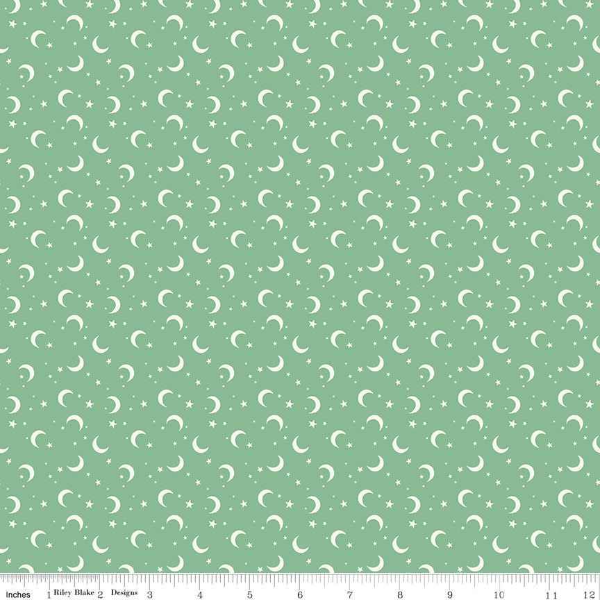 C17477-GREEN-72dpi-wruler.jpg