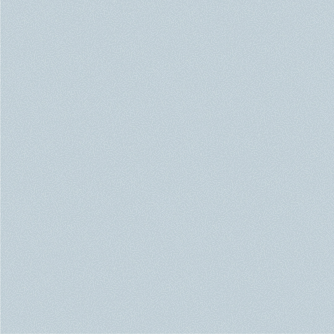 54688-25 Cornflower.jpg