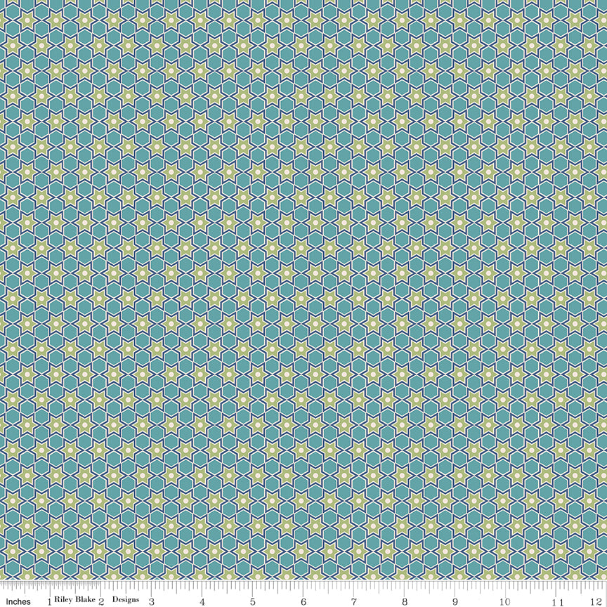 C14914-RAINDROP-72dpi-wruler.jpg