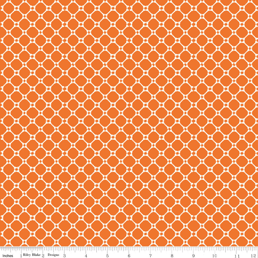 C14507-ORANGE-72dpi-wruler.jpg