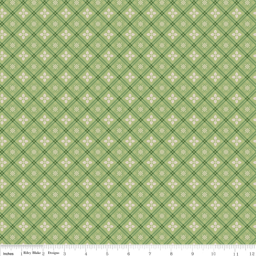 C14909-LETTUCE-72dpi-wruler.jpg