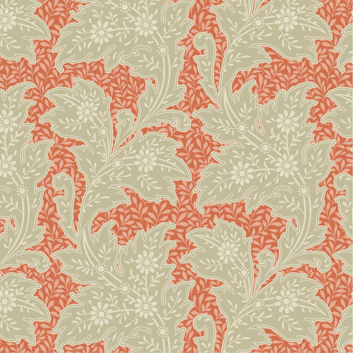 110151-stella-coral_54957207391_o.jpg
