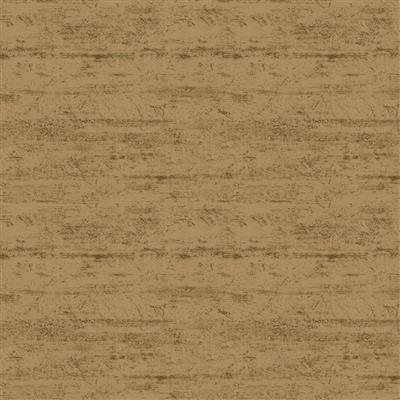 EvoShopify_CW344465.jpg