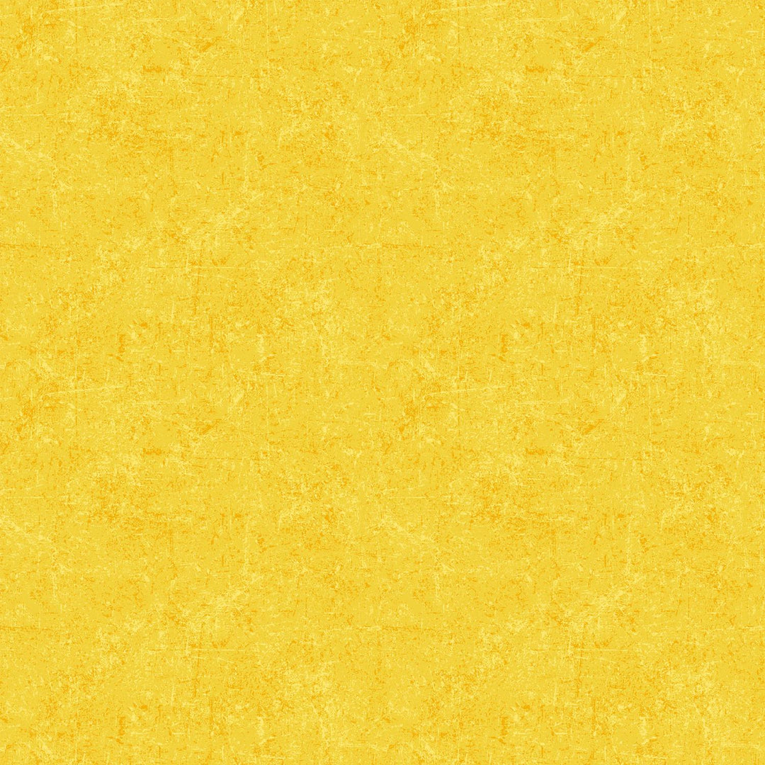 EvoShopify_NC1009154.jpg