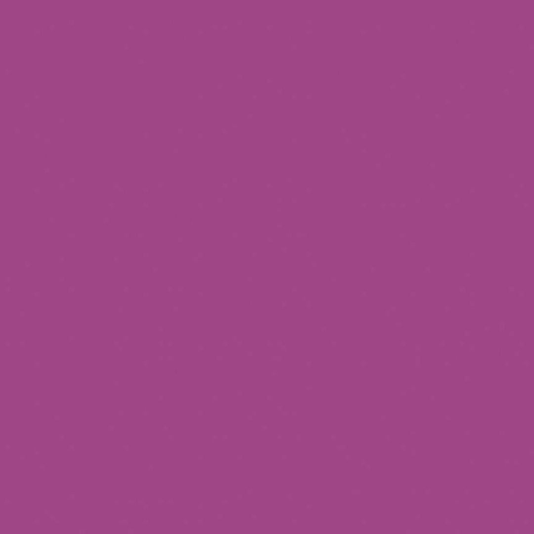 EvoShopify_RBC120PURPLE.jpg